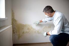  Pierre Part, LA Mold Inspection Pros